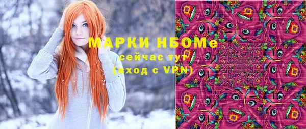 индика Михайловск