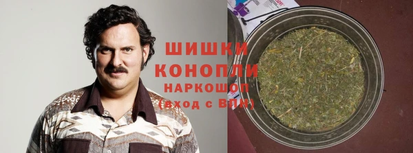 индика Михайловск