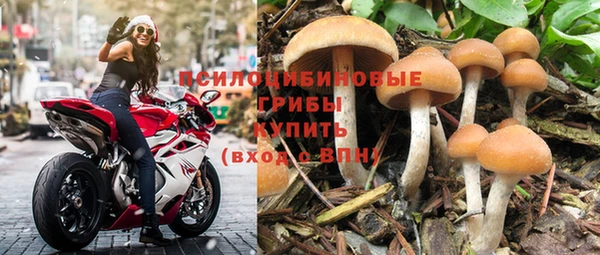 амф Михайловка