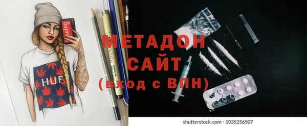 индика Михайловск