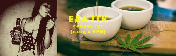 индика Михайловск