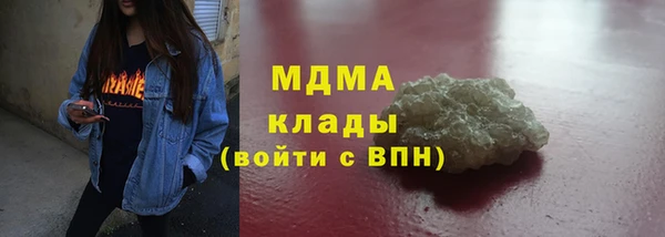 индика Михайловск