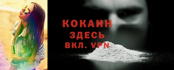 индика Михайловск