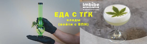 индика Михайловск