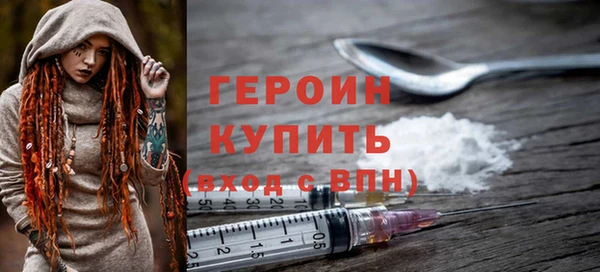 индика Михайловск