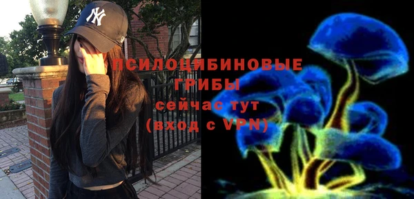 амф Михайловка
