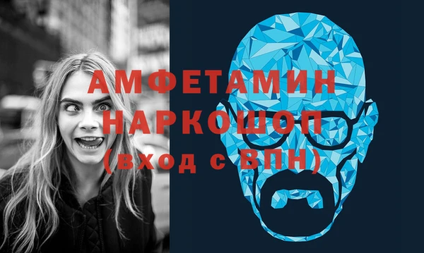 индика Михайловск