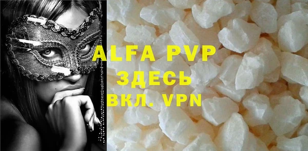 индика Михайловск