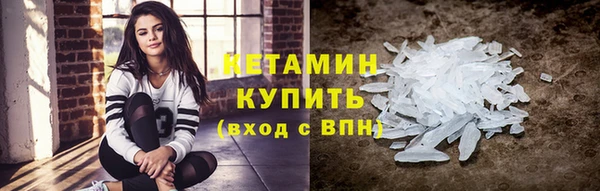 индика Михайловск