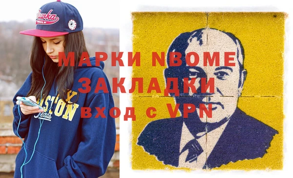 индика Михайловск