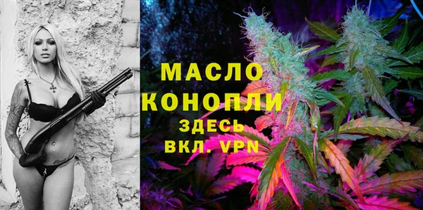 индика Михайловск