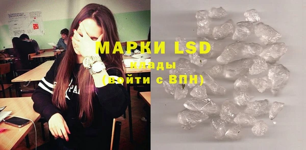индика Михайловск