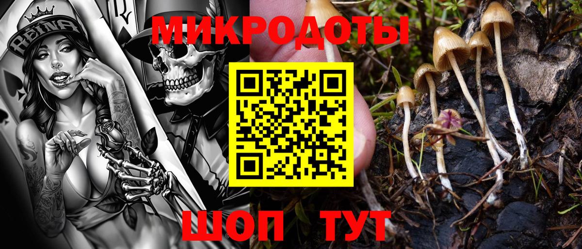 Октябрьский  Псилоцибиновые грибы мицелий  Вход с VPN 